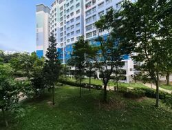 Blk 502C Palm Breeze @ Yishun (Yishun), HDB 4 Rooms #600276321